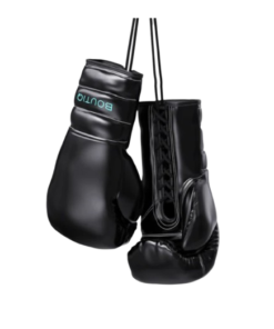Boutiq Boxing Gloves